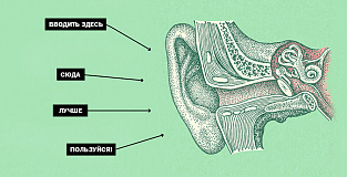 Что нужно знать, чтобы стать хорошим слушателем