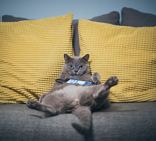 Как на самом деле нужно отдыхать от работы