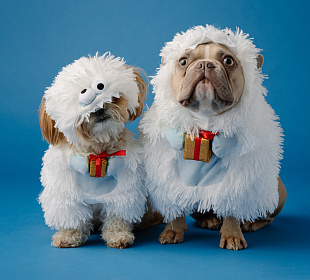 Право на отдых