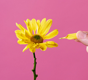 Как создавать новое, отказываясь от ненужного