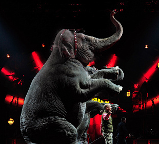 «Алмазное колесо управления»: как удвоить эффективность