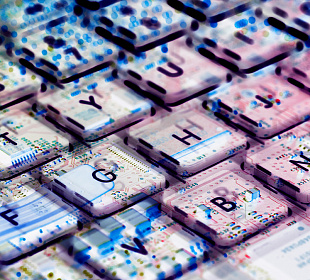 Четыре элемента успешной цифровой трансформации